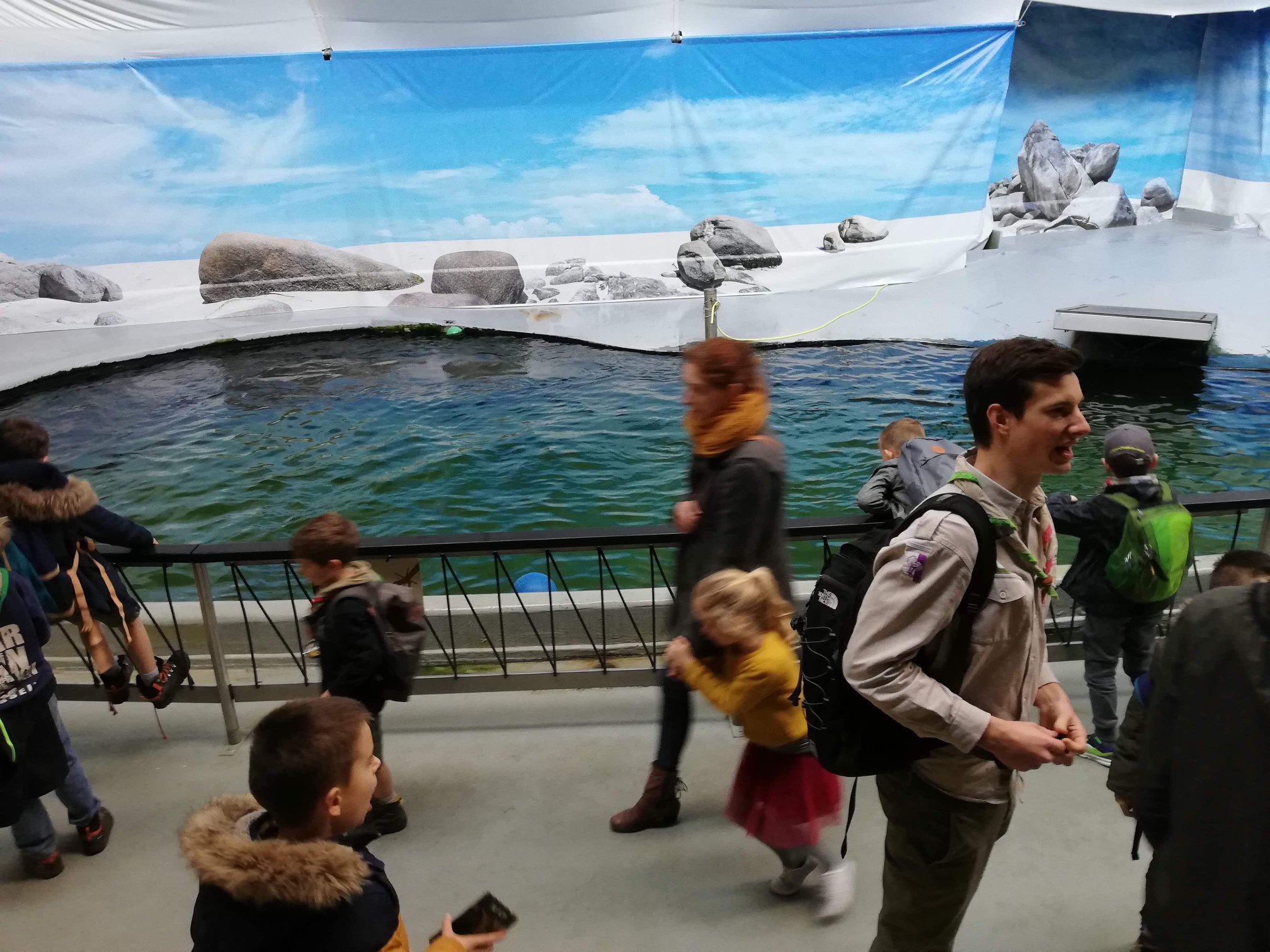 Sint-Martinus den XIIde - Zoo Antwerpen Kapoenen